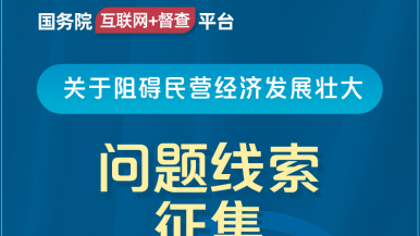 湿逼女国务院“互联网+督查”平台公开征集阻碍民营经济发展壮大问题线索